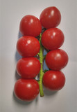 新鲜蔬菜水果 小西红柿  串红 西红柿 小柿子 小番茄 圣女果