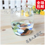 特价玻璃器皿现代简约绿植水培植物花盆鹅蛋造型玻璃花瓶包邮