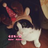 【喵慕斯】宠物变装帽圣诞帽生日帽猫咪狗狗帽子可爱变装帽子