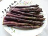 紫色芦笋种子 进口原装蔬菜种子 果蔬种子 5粒