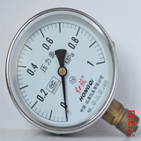 外壳不锈钢压力表Y-100 0-1Mpa(铜接头、铜机芯)(红旗)