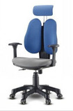 韩国DSP电脑椅 人体工学办公椅 健康双背椅 进口新品特价绿色