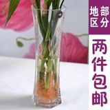 特价现代简约玻璃花瓶 富贵竹百合 水培花器 玻璃 透明家居摆设