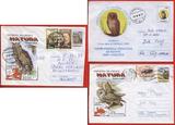 1390N罗马尼亚1998左图不同品种的猫头鹰，邮资封3种不同