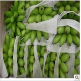 10斤包邮海南水果三亚水果新鲜小米焦 皇帝香蕉 正宗原产新鲜香蕉