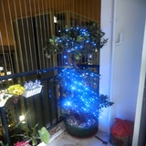 圣诞特惠超亮60蓝色LED太阳能灯串彩灯/太阳能彩灯串/节日装饰灯