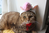 【猫用品专卖】with me宠物变身帽 猫咪变装帽 粉草莓