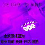 36JCX12X3W大功率聚光型多肉花卉大棚蔬菜兰花LED植物生长补光灯