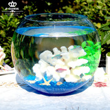 透明玻璃鱼缸 时尚创意桌面办公 生态圆形 小金鱼缸送玻璃砂贝壳