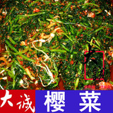 大诚食品 朝鲜族拌樱菜 韩国手工泡菜东北特产 正宗小吃樱菜