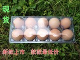 现货10枚装小号野鸡蛋土鸡蛋柴鸡蛋包装盒塑料吸塑蛋托鸡蛋托盘