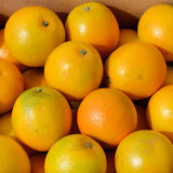 果园直发 黔阳冰糖橘 脐橙优级橙子5KG  甜橙 冬季水果VC正能量