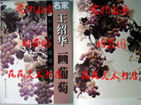 名家写意葡萄 跟名家学技法王绍华 国画花卉画法步骤图写意临摹