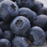 新鲜水果智利进口新鲜蓝莓有机水果公爵蓝莓4盒装 江浙沪包邮