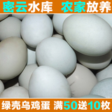 北京绿壳蛋 乌鸡蛋 散养绿壳蛋 林间林地土鸡蛋 新鲜绿皮鸡蛋