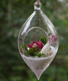 悬挂透明水晶玻璃花瓶 现代欧式玻璃吊球 创意水培花器 婚庆吊饰