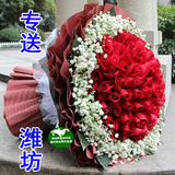 生日鲜花速递潍坊同城 情人节99朵玫瑰花束花店配送 求婚鲜花礼物