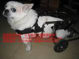 狗轮椅/宠物轮椅/残疾京巴狗代步车/瘫痪宠物轮椅/残疾狗代步轮椅