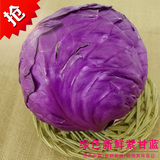有机紫甘蓝1颗1000g左右  新鲜蔬菜紫包菜 沃鲜汇生鲜超市菜市场
