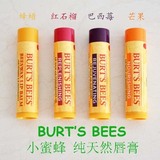美国进口Burt’s Bees小蜜蜂红石榴蜂蜜蜂蜡芒果葡萄柚巴西莓唇膏