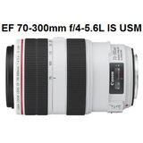 佳能镜头EF 70-300mm f4-5.6L IS USM胖白 正品行货 促销包邮顺丰
