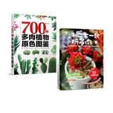 预售 700种多肉植物原色图鉴   和二木一起玩多肉 多肉书 盆景养花书籍 花束花艺 正版书籍