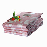 竹丝绒毯 竹纤维毛巾被盖毯 100%竹纤维 夏毯呼吸毯 特价包邮