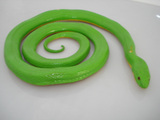 美国正品safari仿真动物模型玩具 爬行动物摆件 青蛇 绿蛇