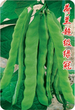 荷兰超级绿冠 台湾引进扁豆种子油豆种 豆角种子芸豆种子蔬菜种子