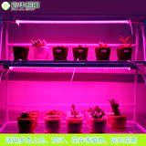华LED植物生长灯温室水培育苗红蓝光合作用补光灯T8植物灯管宸