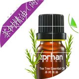 伊帕尔汗茶树精油10ml 祛痘去印控油收缩毛孔香薰提神单方精油