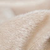 朗绮家纺卡通床品四件套纯色1.8m床冬季磨毛珊瑚绒保暖三件套加厚