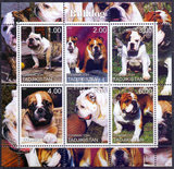 B16塔吉克斯坦邮票2000年发行斗牛犬小型张新，宠物狗动物专题