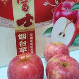 新鲜水果苹果烟台栖霞红富士苹果水果特产80-90现摘现发特价包邮