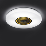 现代简约LED圆形吸顶灯 小客厅灯儿童房卧室灯 40cm/50cm