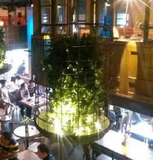 北欧宜家创意个性鸟笼植物吊灯美式餐厅酒吧音乐吧高档复旧古吊灯