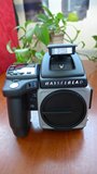 Hasselblad 哈苏H5D-60  最好的中画幅相机最大感光元件