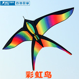 潍坊百特风筝 彩虹鸟风筝 格子布 玻璃钢杆 做工精致 色彩艳丽