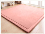 简约日式珊瑚绒地毯儿童爬行毯爬行垫榻榻米垫客厅卧室地垫可定制