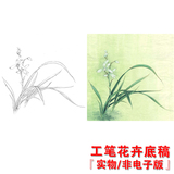 YB02高清国画花卉兰花工笔画白描底稿线描稿练习实物电子版打印稿