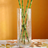 透明冰花玻璃花瓶富贵竹水培加厚花瓶冰裂直筒大号透明大口径花瓶