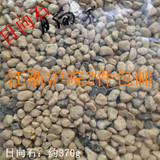 日本进口园艺颗粒土-瓦苇12卷玉露万象玉扇专用种植铺面--日向石
