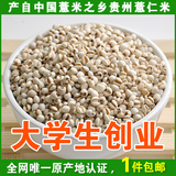 2014新货 贵州小薏米仁 有机薏仁米 非蒲城薏米 薏米红豆 薏米粉