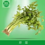 【M6生鲜】新鲜蔬菜 芹菜 500g 宁波本地满额配送 优品 鲜蔬