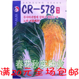 韩国进口 大白菜种子 春秋季红心白菜种子 蔬菜种子泡菜白菜种子