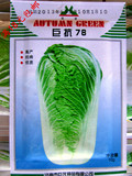 山东胶州白菜籽 大白菜种子 蔬菜种子 巨抗78 20斤 庭院阳台菜农