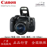 Canon/佳能 EOS 750D 套机（18-135mm）全国联保 购机好礼 国行