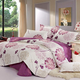 苏娜国际冬季全棉纯棉四件套简约床单被套韩式床上用品特价1.8m