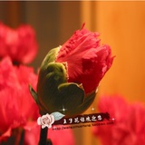 【王子花坊】昆明斗南鲜花批发 红色康乃馨红康 马斯特母亲节礼物