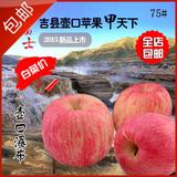 原生态有机新鲜吉县壶口红富士苹果18个75以上实惠装包邮